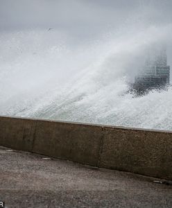 Silny wiatr na północy kraju łamie drzewa i zrywa trakcje elektryczne. Strażacy interweniowali już 900 razy