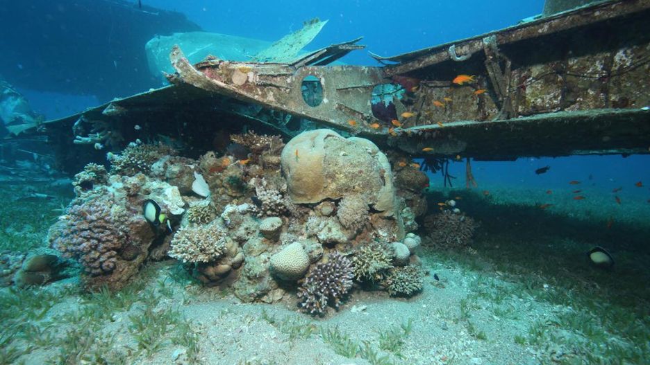 Wrak samolotu stał się w ostatnich miesiącach bardzo popularną atrakcją