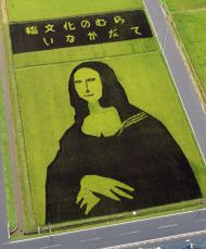 Słynna, piękna i... z ryżu