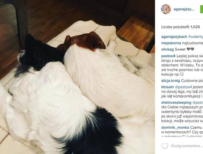 Agnieszka Szulim pokazała walentynkowe zdjęcie swoich psów