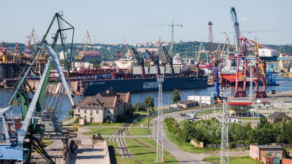 Banany mają być dostarczane do Polski bezpośrednio. 