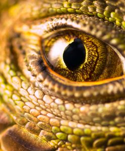 Wróciły do pracy po świętach. Nagle choinka w biurze się poruszyła