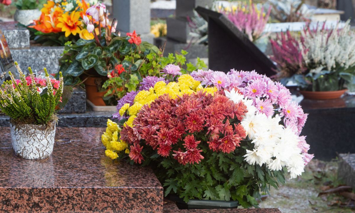 żywe kwiaty na grobie, fot. Getty Images