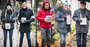Gwiazdy kwestowały na warszawskich Powązkach: Magdalena Ogórek, Maciej Orłoś, Krzysztof Ibisz, Katarzyna Dowbor, Kazimierz Kaczor...