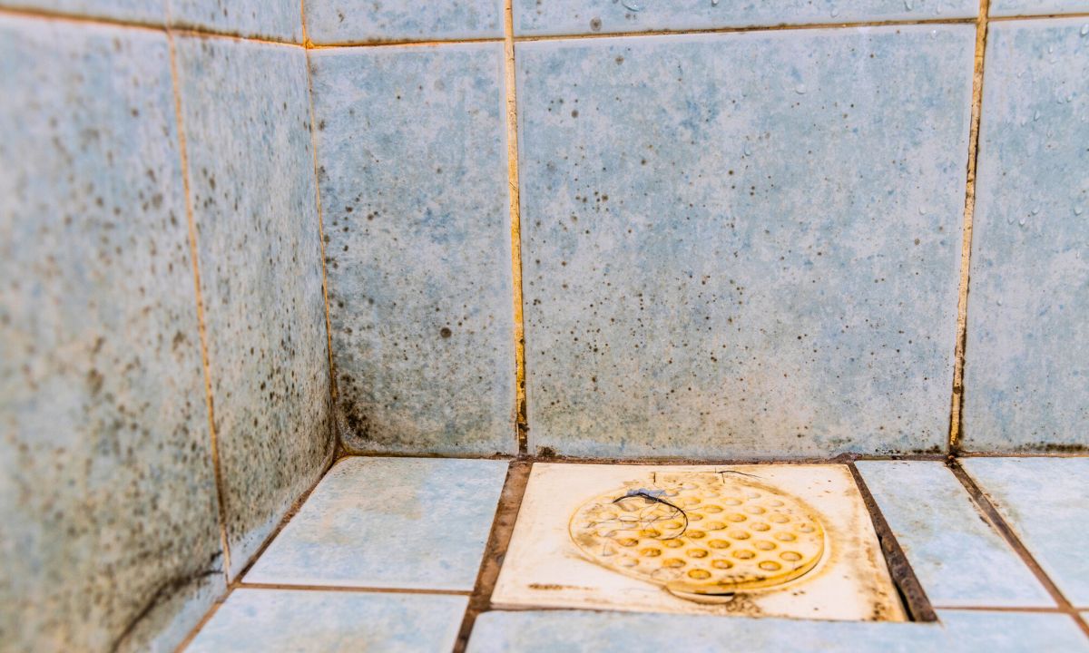 Jak wyczyścić spleśniałe fugi pod prysznicem? Nie trzeba ich wymieniać
