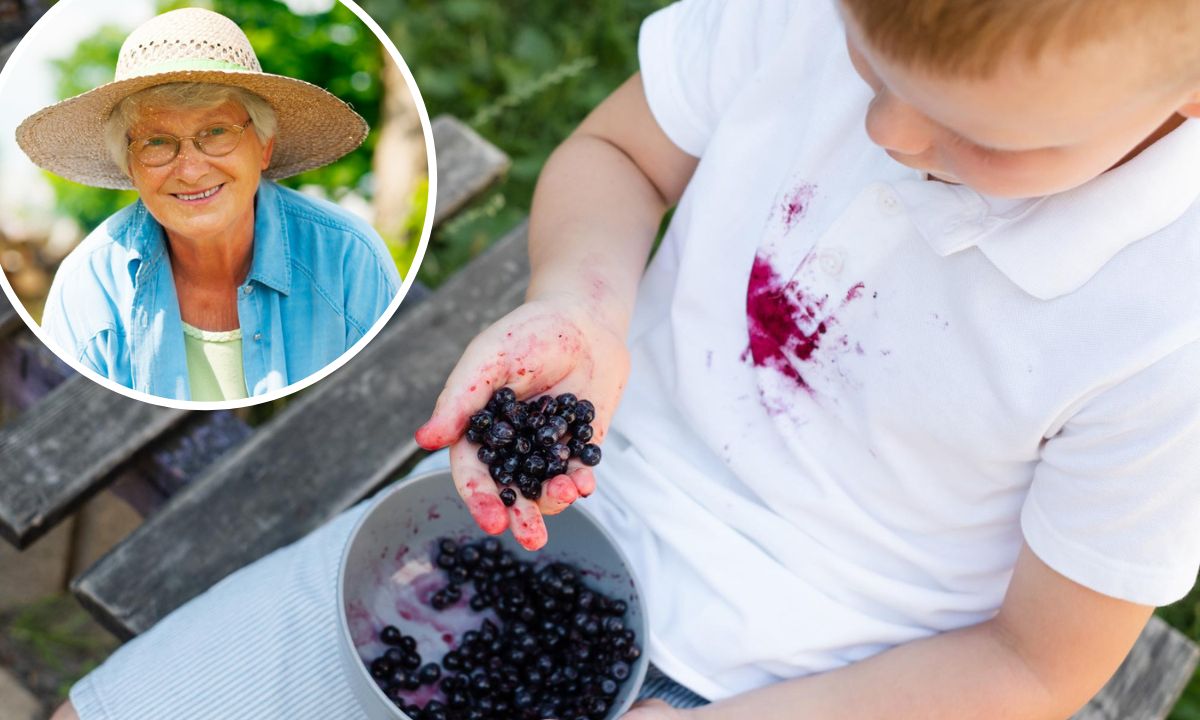 Babcie stosują tę metodę od pokoleń. Plamy po owocach leśnych nie mają szans