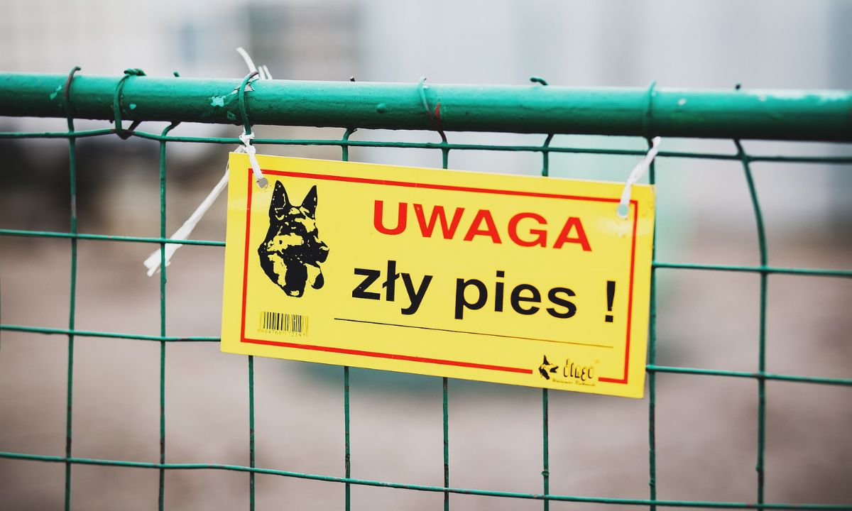 Przed urlopem zawsze wywieszam na ogrodzeniu tabliczkę. To nic, że wcale nie mam psa