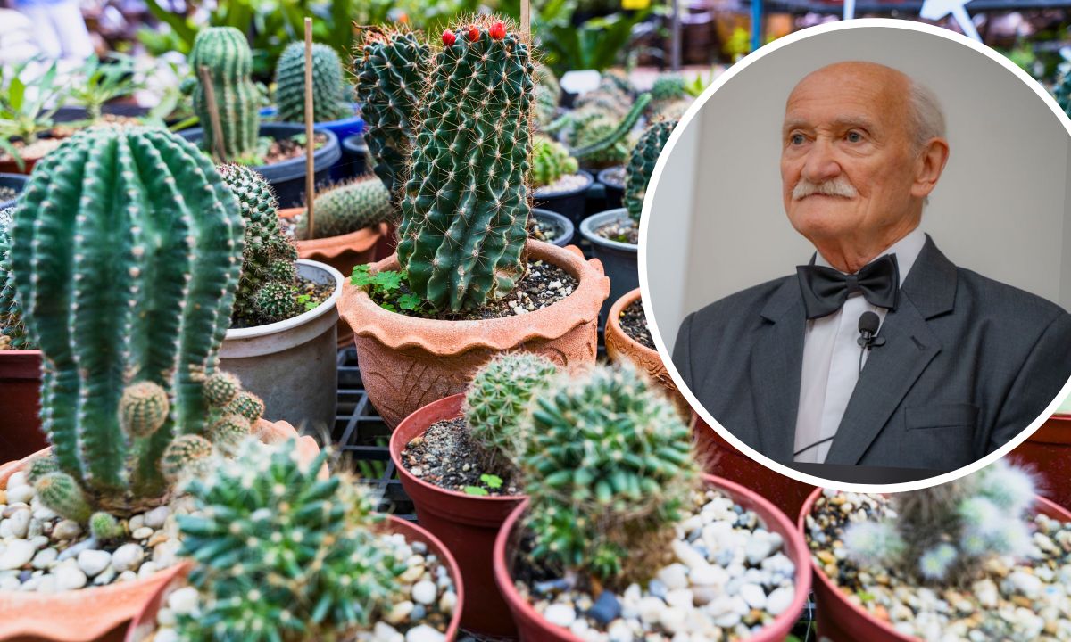 W wieku 75 lat obronił doktorat z kaktusów. W swojej kolekcji ma ich zdumiewającą ilość