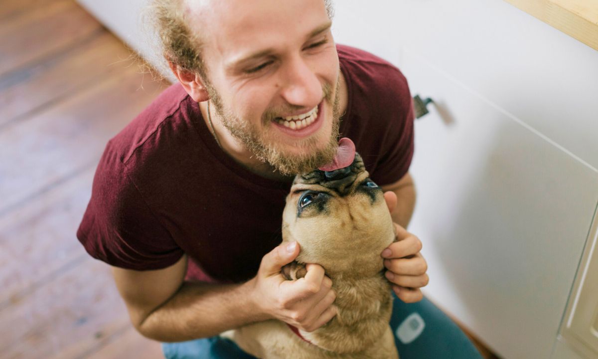stresująca opieka nad psem, fot. Getty Images