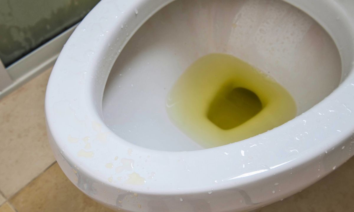 jak pozbyć się zapachu moczu z toalety, fot. Getty Images