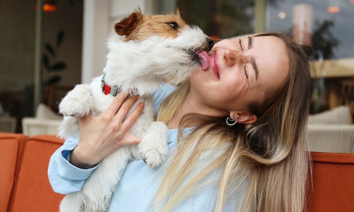 czy można całować psa lub kota, fot. Getty Images