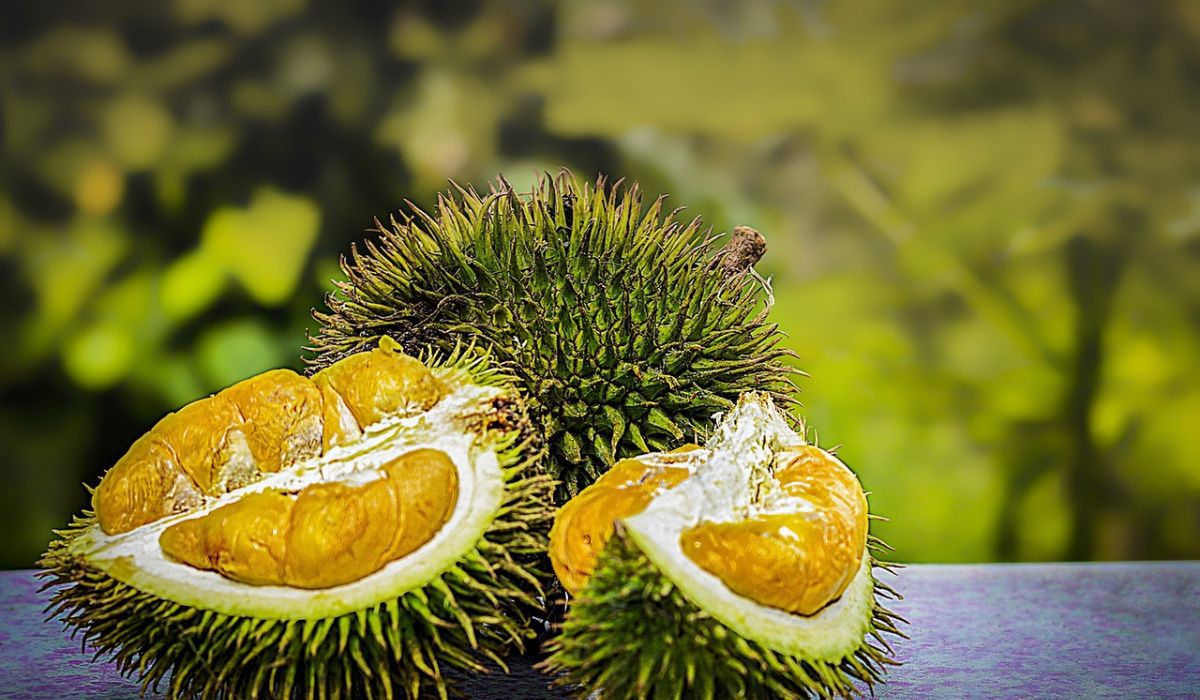 Durian (pixabay)