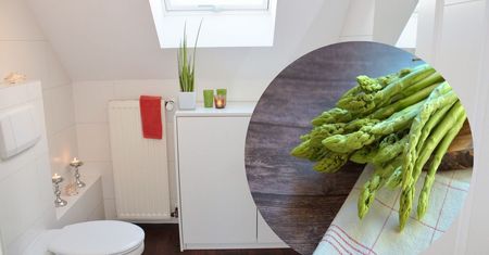 Po zjedzeniu szparagów czujesz śmierdzący zapach w toalecie? Należysz do elitarnej grupy
