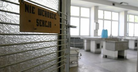 Wstępne wyniki sekcji zwłok Pauliny D. Sprawca ranił ją nożem w szyję, została pobita