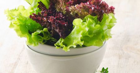 6 produktów, które mogą wywoływać zatrucia