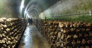 Koniec świata jest nieunikniony. Uratuje nas tylko jedno - będziecie zaskoczeni