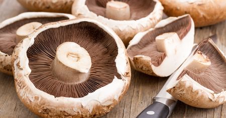 Kawa z grzybów. Nowy trend wśród miłośników super food
