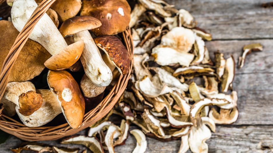 Grzybowe eldorado trwa, czyli tajemnice przechowywania darów lasu
