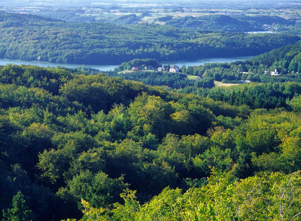 Widok z Wieżycy, nazywanej "królową" północnej Polski, jest bajkowy