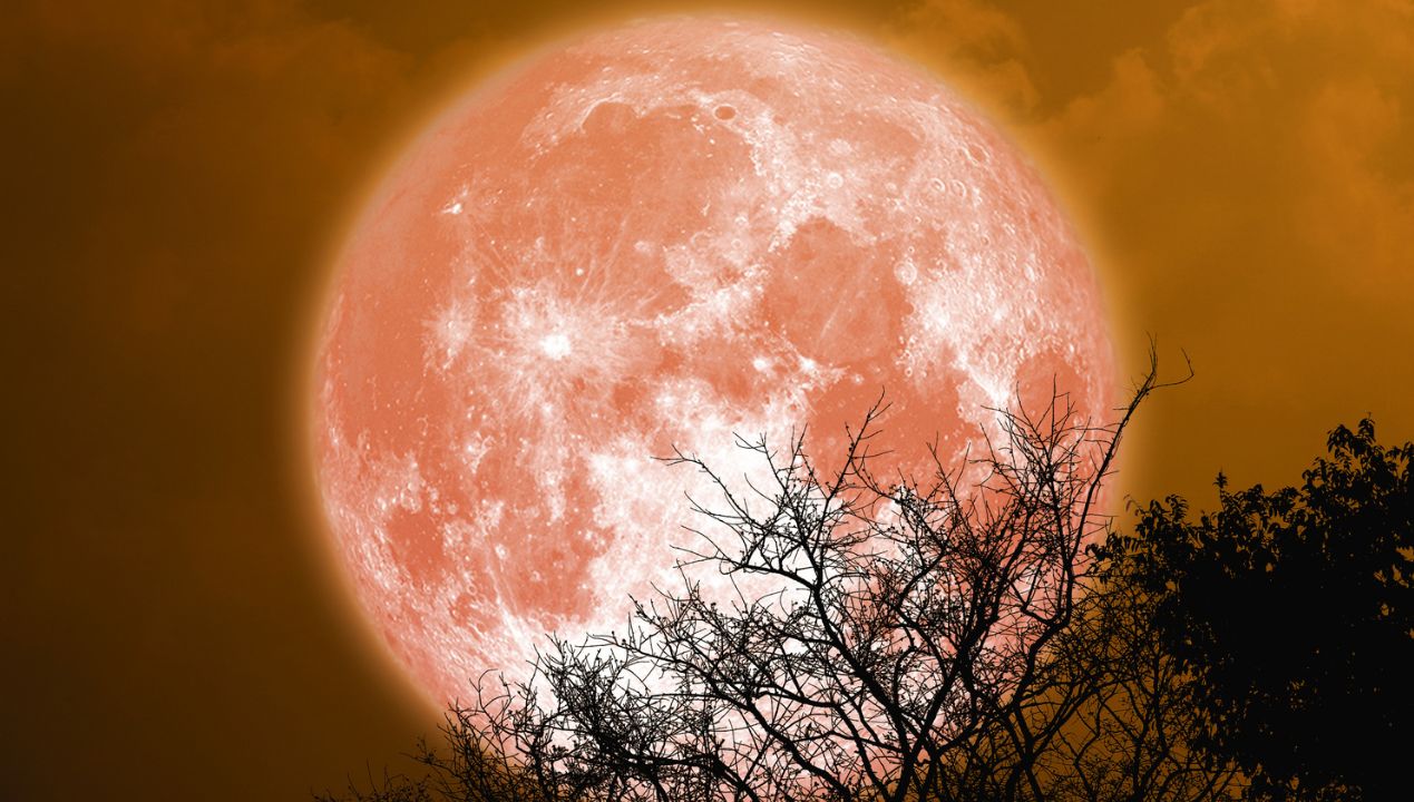 pełnia księżyca październik 2023, fot. Gettyimages