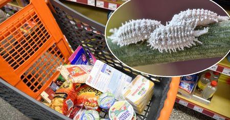 Do niektórych produktów dodawane są części robaków. Łatwo to sprawdzić
