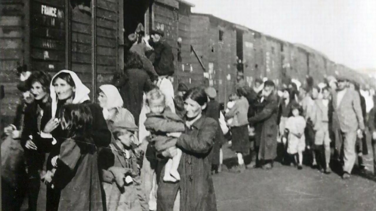 Były śliczne, bezbronne i próbowały uciec śmierci. Do dziś leżą przy torach