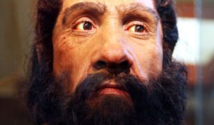 Schyłek cywilizacji Zachodu