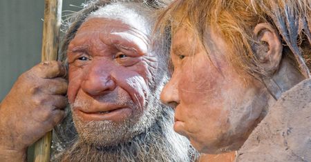 Zaskakujące połączenie. Mamuty i neandertalczycy mieli wspólne geny