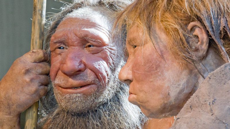 Neandertalczycy mieli wspólne geny z mamutami