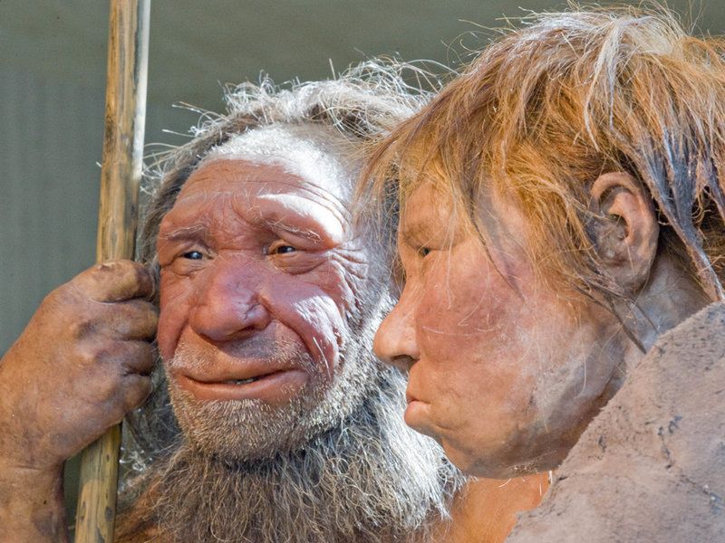 Neandertalczycy mieli wspólne geny z mamutami