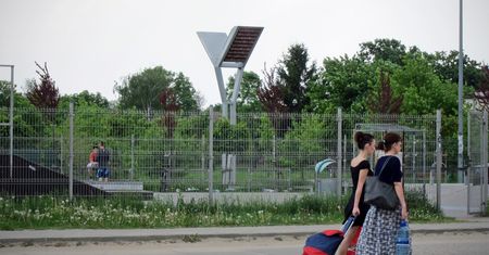 Jerzyki znikają z miast. Polacy już kilka lat temu opracowali dla nich miejski "dom"