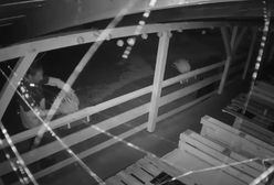 Radny ukradł kwiatki w Nadarzynie. Wójt przeprasza za swojego kandydata