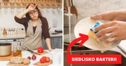 Jak często wymieniać gąbkę do mycia naczyń? O wiele częściej niż myślisz