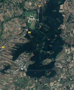 Gniewczyna Łańcucka na Podkarpaciu. W tajemniczym lesie po kolei giną mieszkańcy wsi