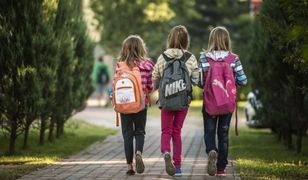 Szczecin. Próbował uprowadzić dzieci, trafił do aresztu