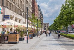 Śpiewak o zieleni w mieście. Za przykład podaje Świętokrzyską