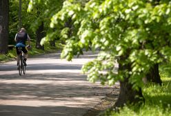 32-latek zaatakował kobietę. Uratował ją rowerzysta