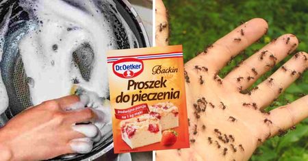 6 dziwnych zastosowań proszku do pieczenia. Przyda się nie tylko podczas pieczenia