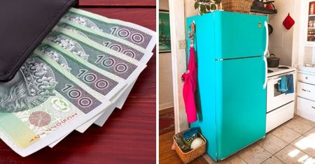 Sprawdź szczelność swojej lodówki za pomocą banknotu. To naprawdę działa!
