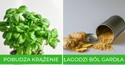 Dodając te przyprawy i zioła do dań, pomożesz zdrowiu. Wspomogą trawienie i obniżą cholesterol